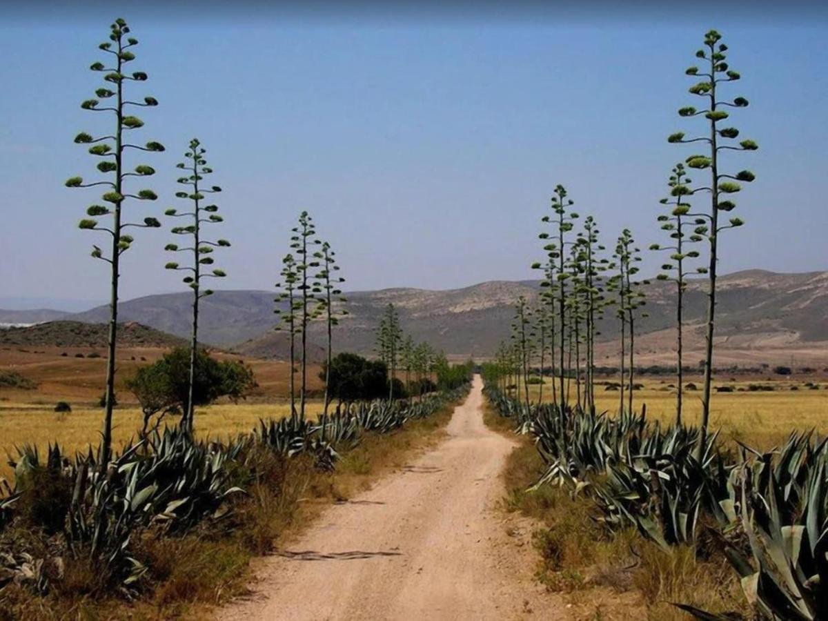 Casa El Olivo Villa Las Negras Dış mekan fotoğraf